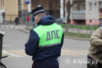 © ВЛуки.ру