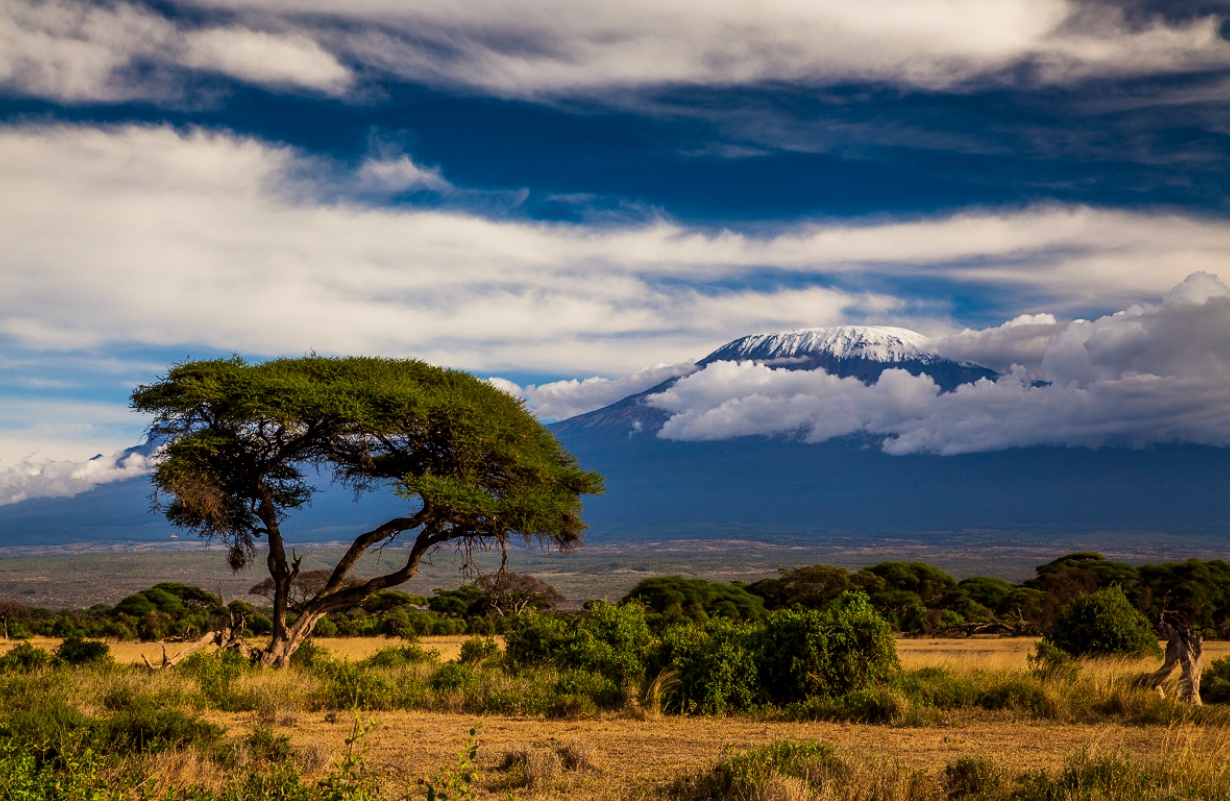 Kenia. Амбосели национальный парк Африки. Парк Амбосели Кения. Парк Килиманджаро в Африке. Саванна Килиманджаро.