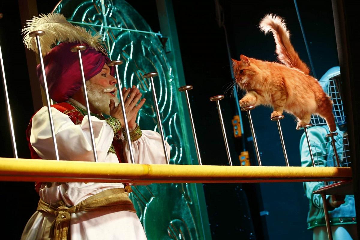 Theater cats. Театр кошек Юрия куклачёва. Театр Юрия Куклачева в Москве. Московский театр кошек Куклачева.