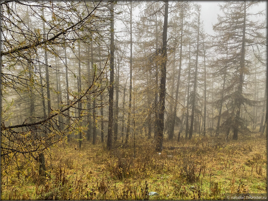 «Осенние краски Уймонской долины». Дорога, база и первые эмоции