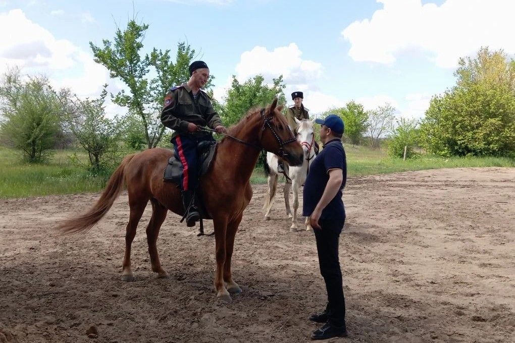 На Дону усилено патрулирование земель лесного фонда