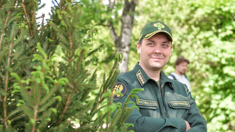 Искусственный интеллект, БПЛА и «биооружие» против вредителей: что происходит в лесном хозяйстве России