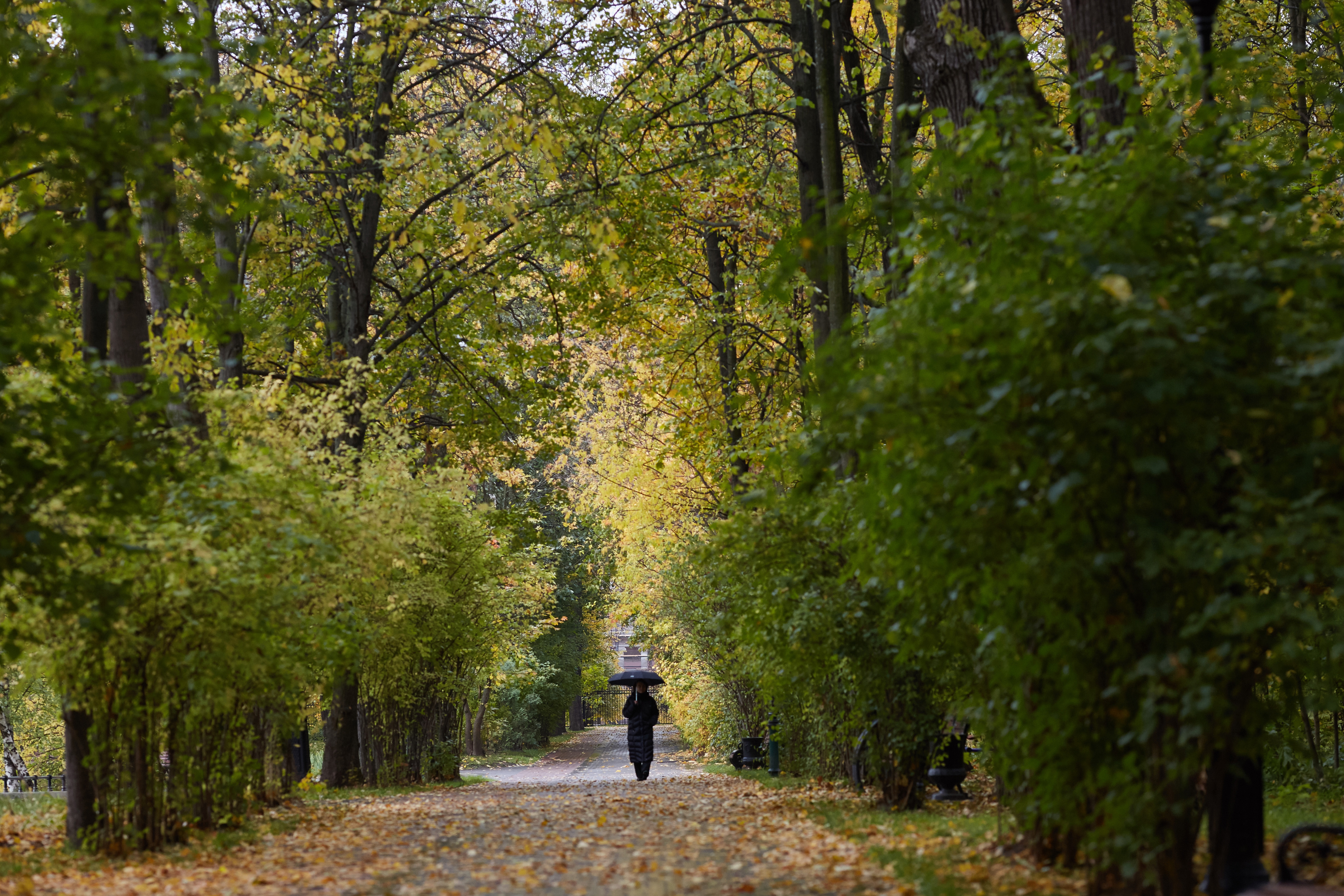 Царицыно в пасмурную погоду. Октябрь 2022 природа. Что будет идти в октябре. Плотинка екатеринбург осенью. Мокрый снег в удмуртии.
