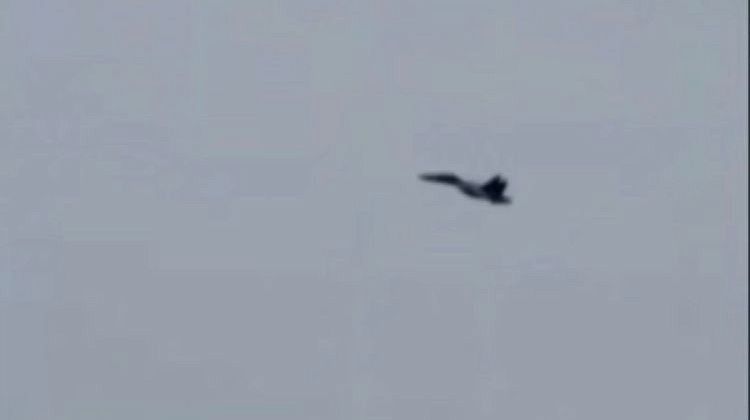 Украинский дрон был беспощадно сбит шапкой: мужчина не растерялся в Запорожской области 