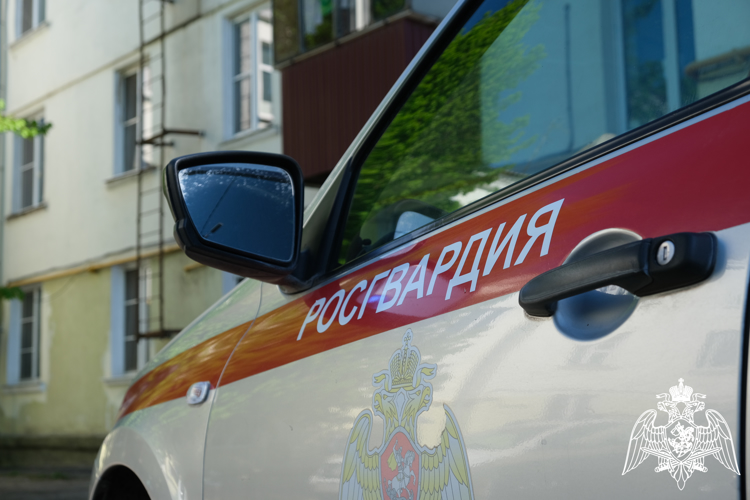 В Курской области росгвардейцы за прошедшую неделю выезжали 256 раз по сигналу «Тревога» 