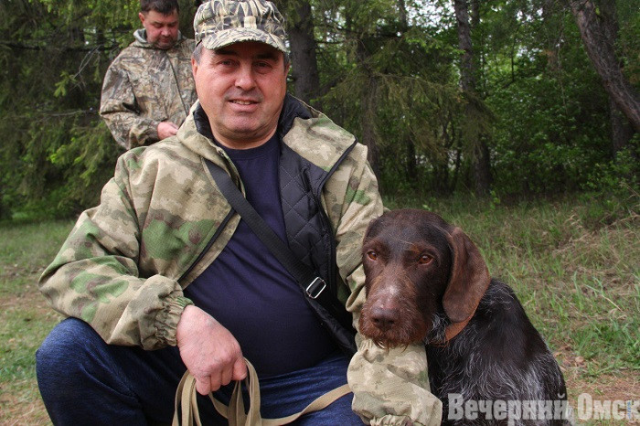 Лайки, борзые и гончие: в Омске прошла выставка охотничьих собак