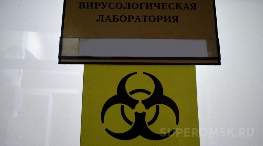 В Омской области вводят карантин из-за инфекции, вызывающей опухоли