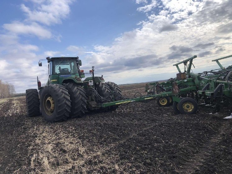 В Голышмановском городском округе приступили к севу зерновых и зернобобовых культур