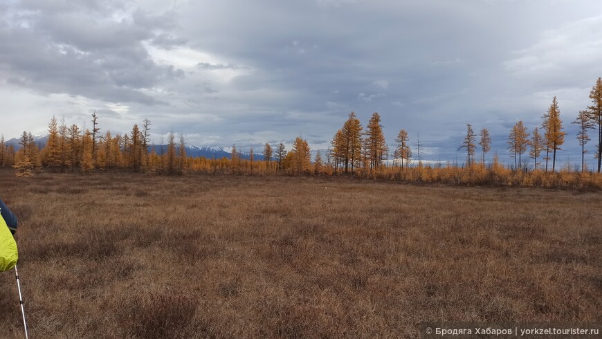 Чарские пески — самая северная пустыня