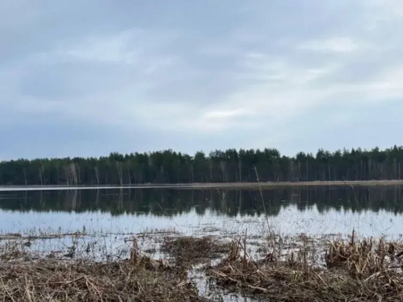 PNG Файл