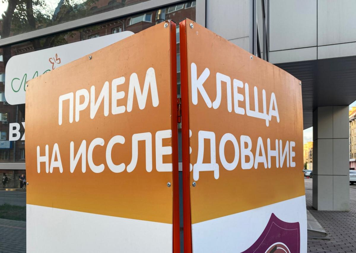 клещи