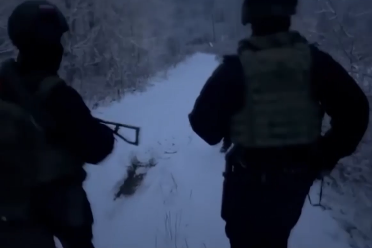 В Ярославской области при содействии спецназа Росгвардии пресечена деятельность нарколаборатории (видео)