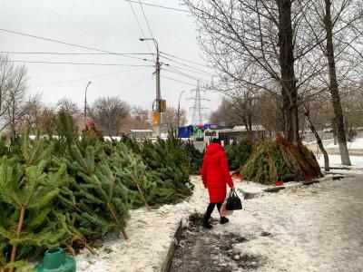 В Саратове снова нашли незаконные ёлочные базары