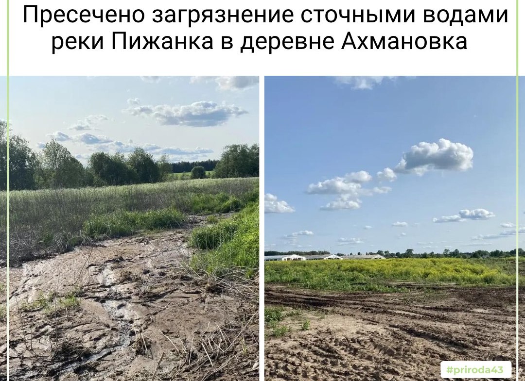 В Кировской области экологи пресекли сброс отходов животноводства в реку Пижанка