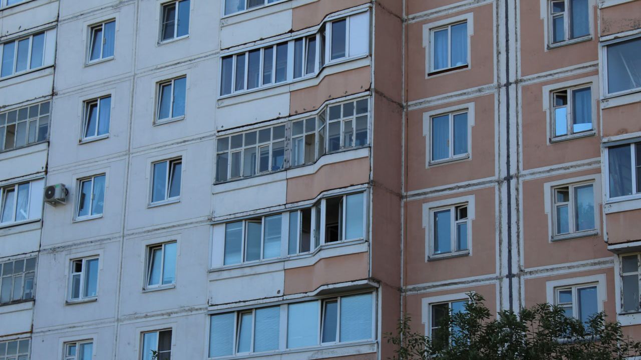 В Мытищах живодеры-маргиналы выбросили французского бульдога с 15-го этажа