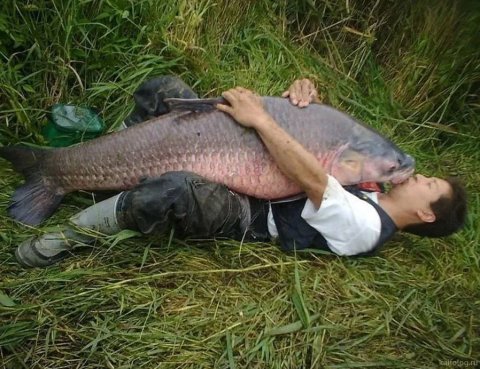 В России предложили запретить любительскую рыбалку без выплаты налогов