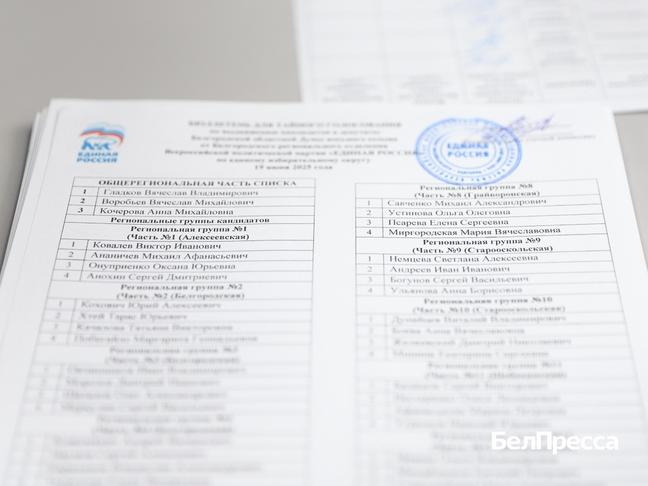 Вячеслав Гладков возглавил список «Единой России» на выборах в Белгородскую областную Думу - Изображение 2