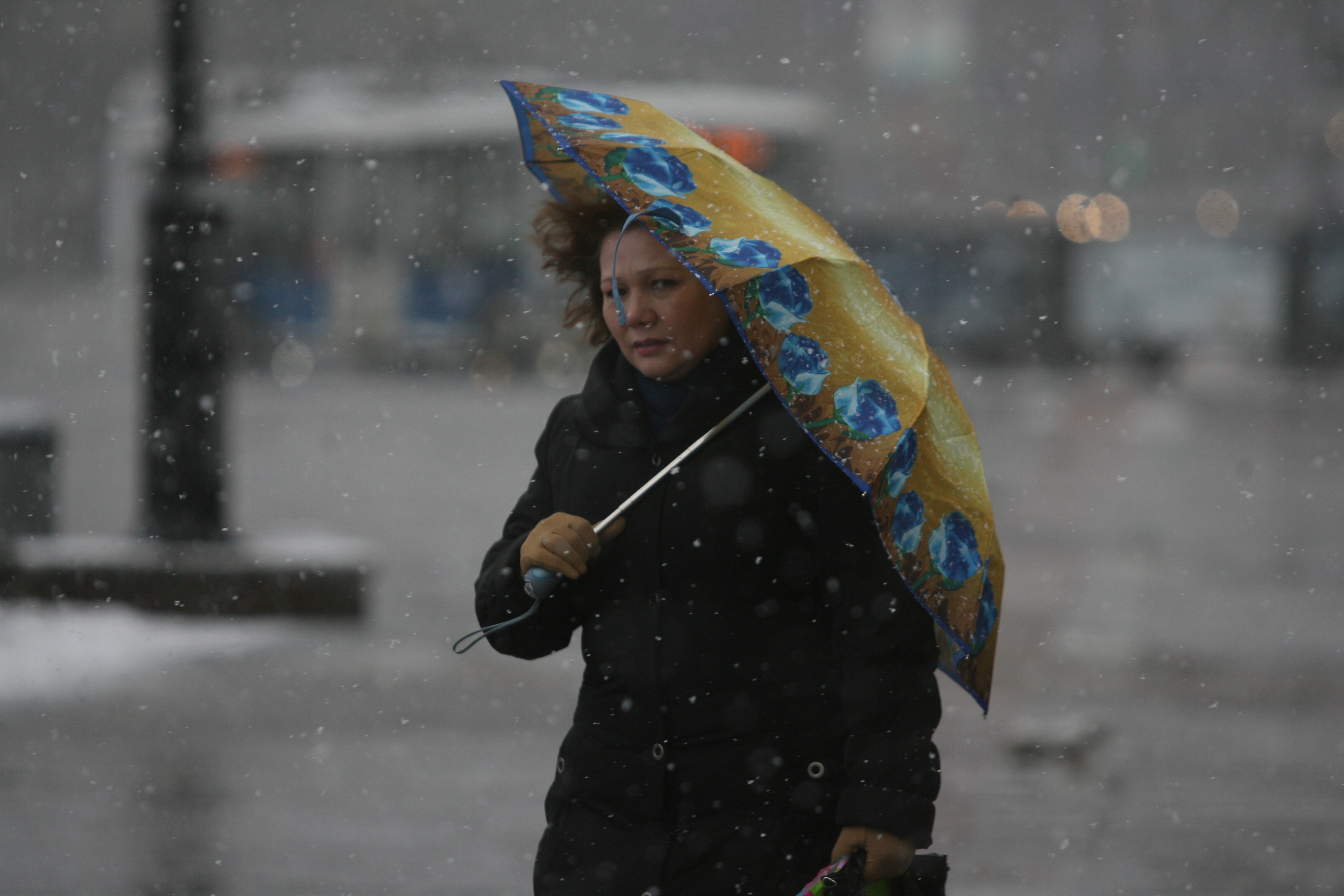 2019 году ожидается. Снег с дождем. Дождь снег ветер. Дождь зимой. Женщина с зонтиком.