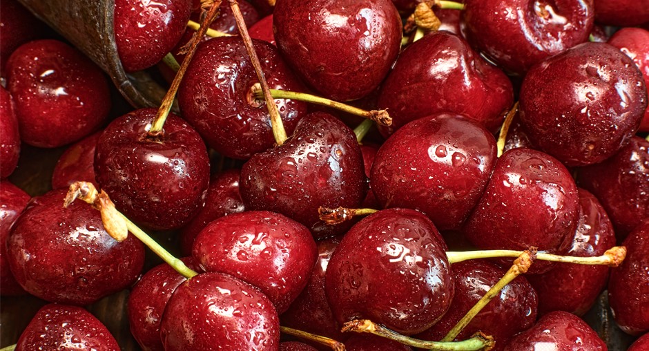 Фото: Донской филиал ФГБУ 