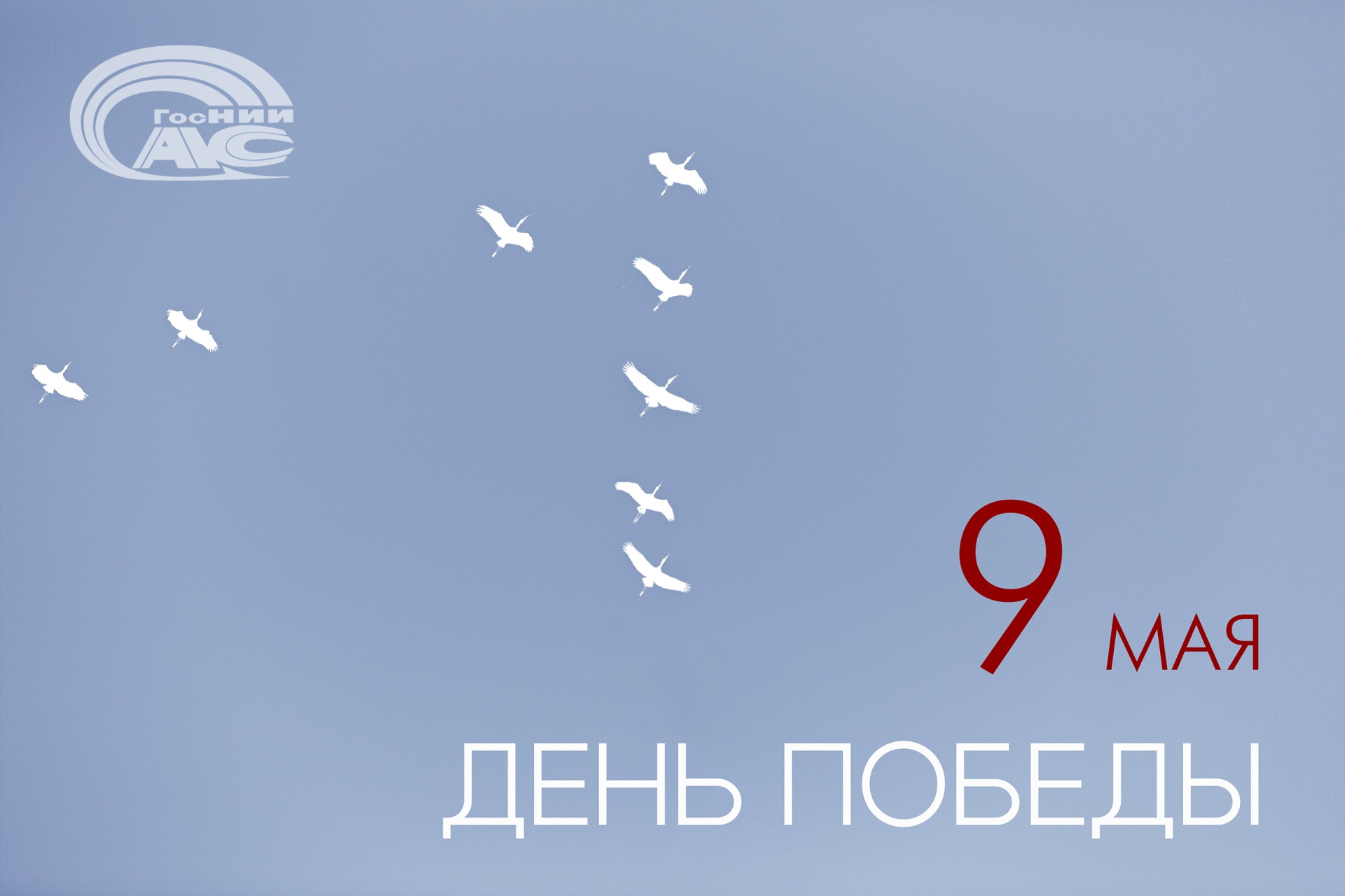 Поздравление генерального директора ГосНИИАС С.В. Хохлова с Днем Победы в Великой Отечественной войне 1941-1945 годов