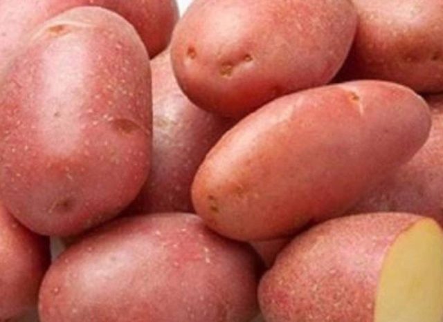 Лучшие сорта картофеля для Южного и Среднего Урала: семенного, новые, отзывы