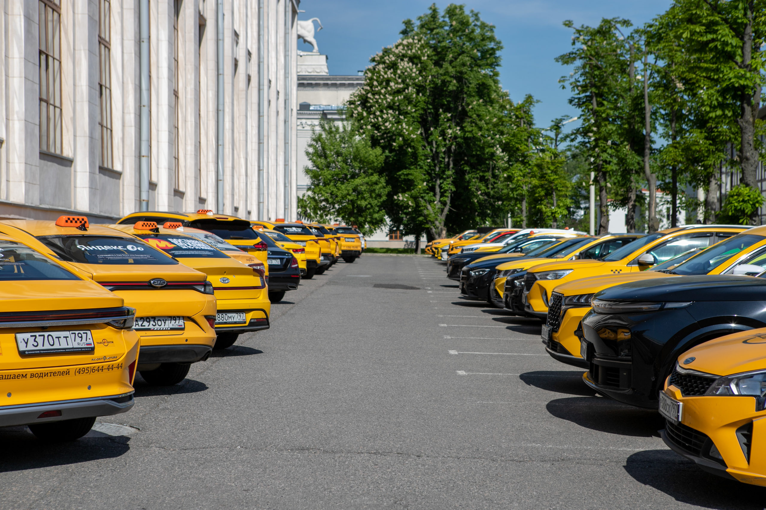 Лучший водитель такси Москвы
