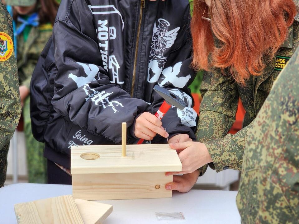Лучших школьников-лесничих в Подмосковье определили на слете в Пушкино