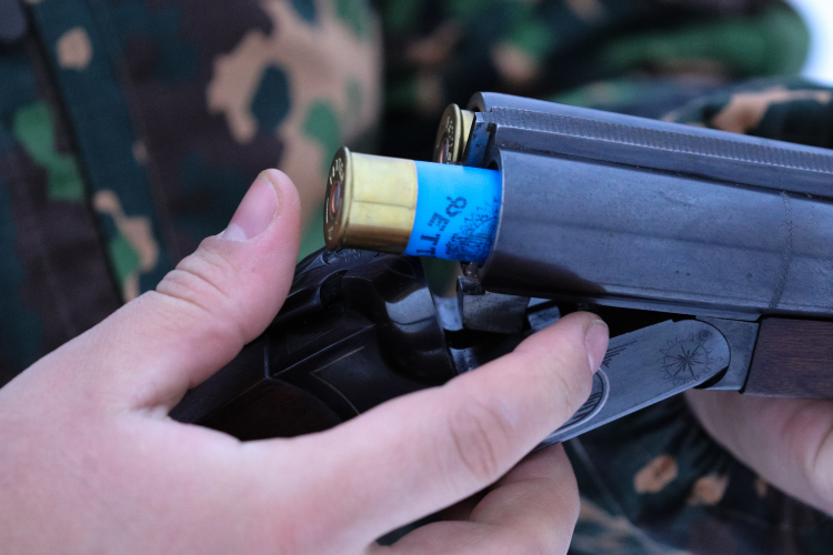 Сезон охоты на лис начинается 15 сентября и заканчивается 28 февраля. Получить разрешение на добычу можно в МФЦ