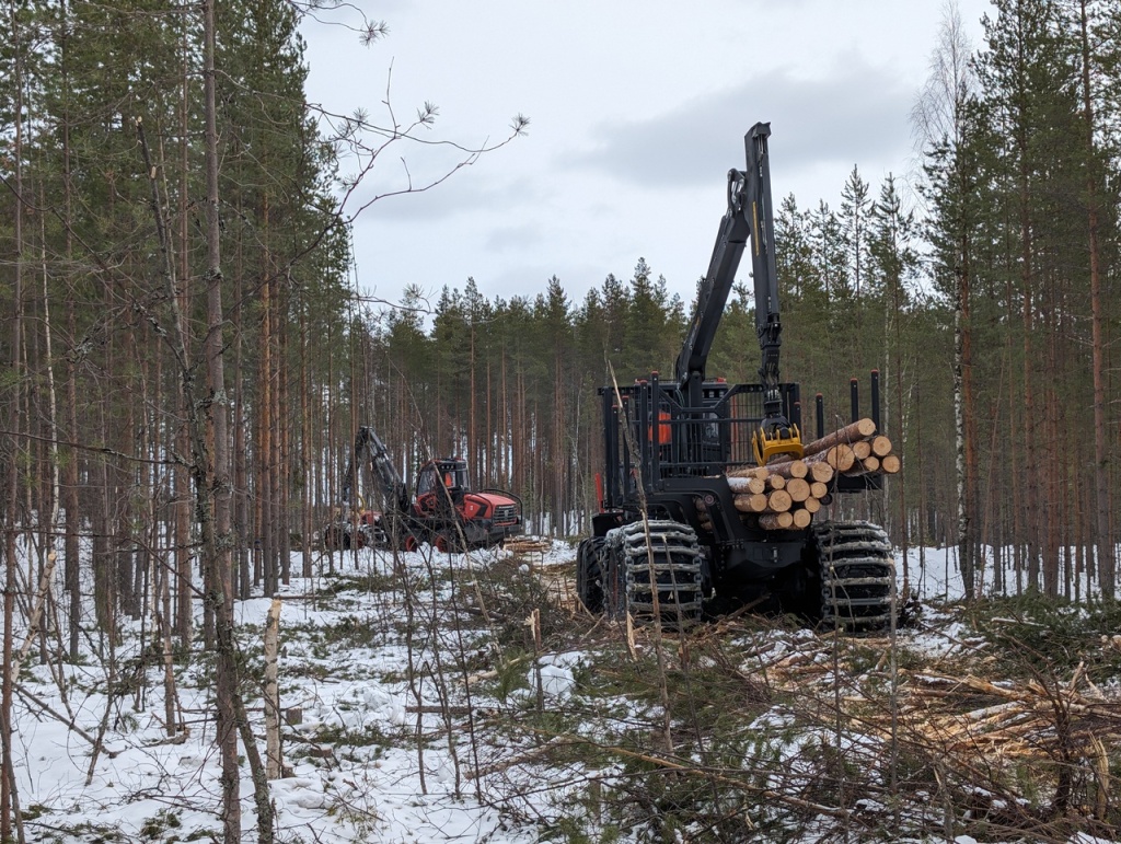 Сегежский ЦБК и КАМАЗ проводят испытания лесозаготовительной техники1.jpg