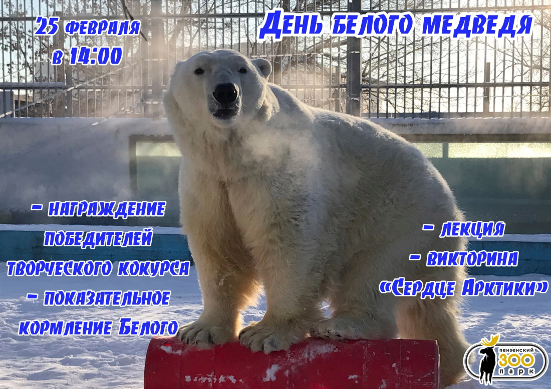 день белого медведя