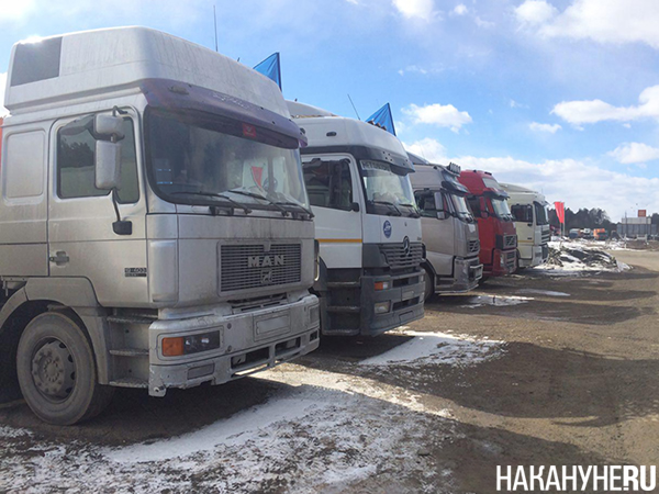 Фото: Накануне.RU