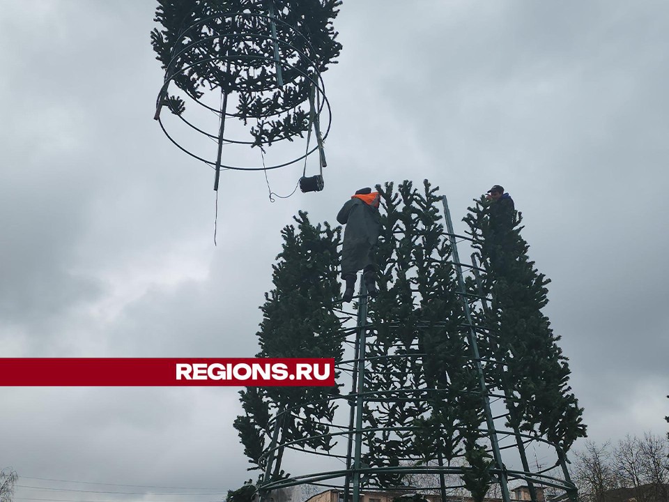 В Долгопрудном приступили к установке главной праздничной елки на площади Собина