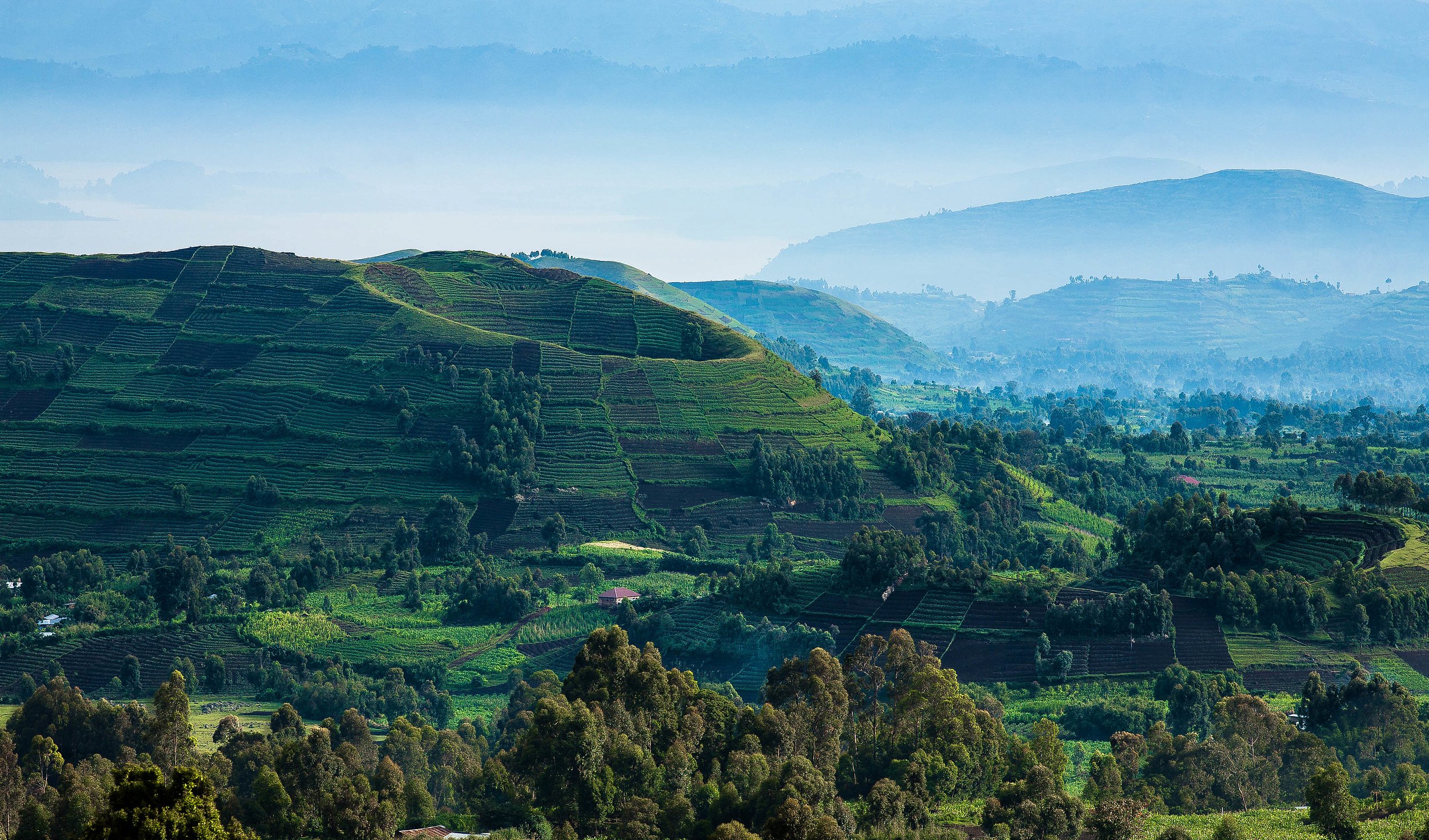 Тульская область &ndash; Уганда