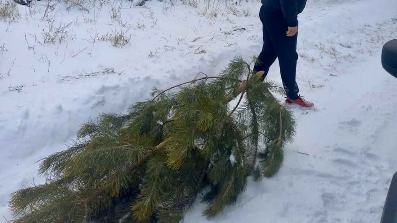 Молодой человек был задержан в Большеглушицком ...