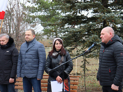 В Крыму создали аллею памяти погибших бойцов СВО, фото 5