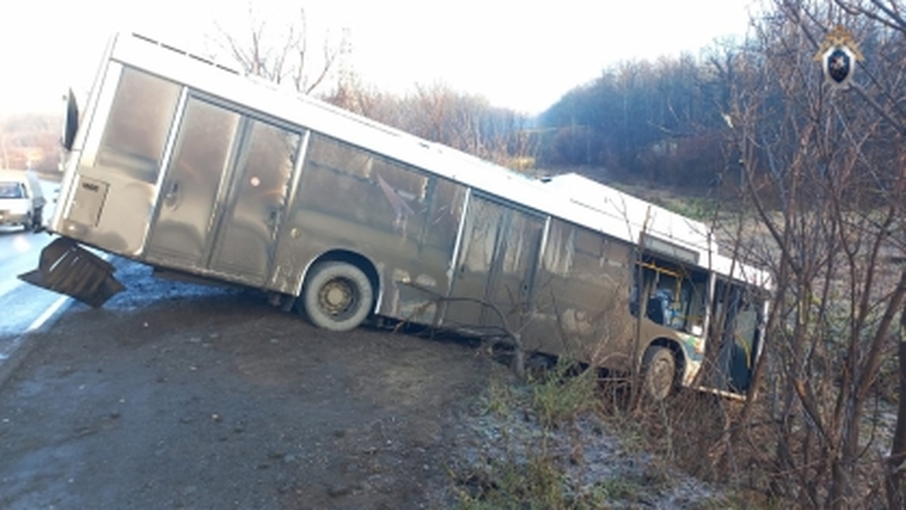 Дело возбуждено по статье, предусматривающей от...