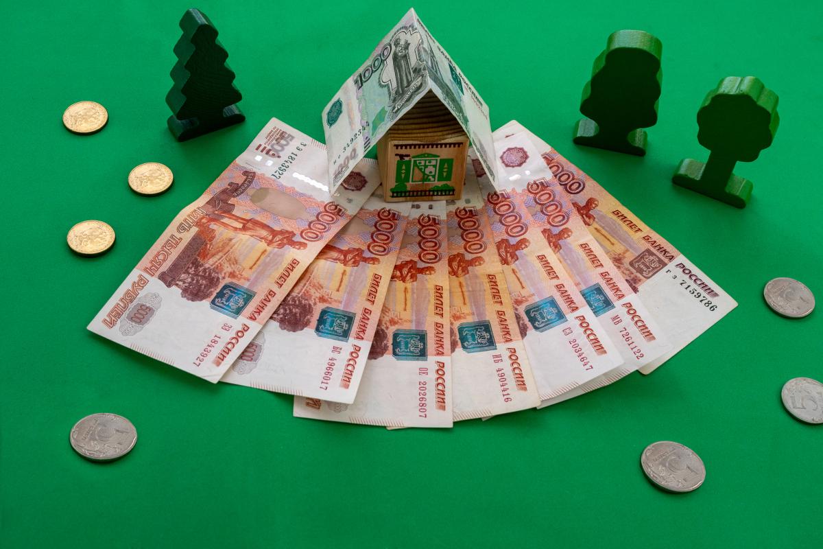 Аграрии Республики Алтай в 2025 году получили 981 млн руб. федеральной господдержки