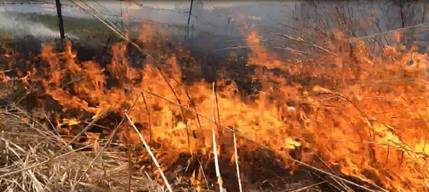 Апрельские ветра раздувают пожары на заброшенных пашнях Приморья