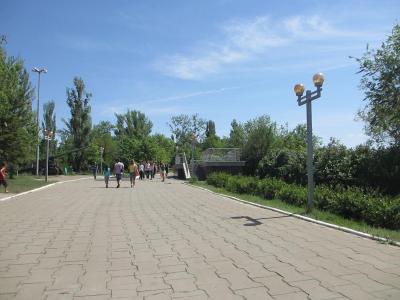 Председатель общественной палаты Саратовской области Шинчук считает, что Парк Победы в Саратове сгорит