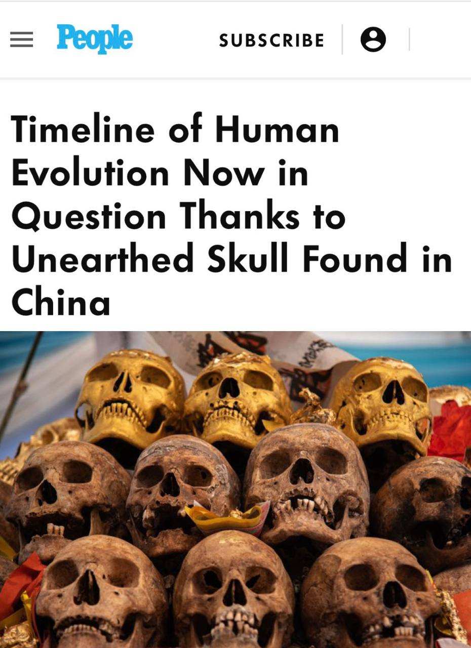 Самая древняя челюсть состарит нас на 400 тысяч лет | Русская весна