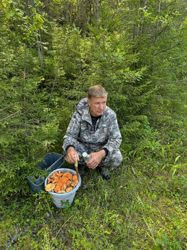 Свое ведро грибов он из леса тоже унес