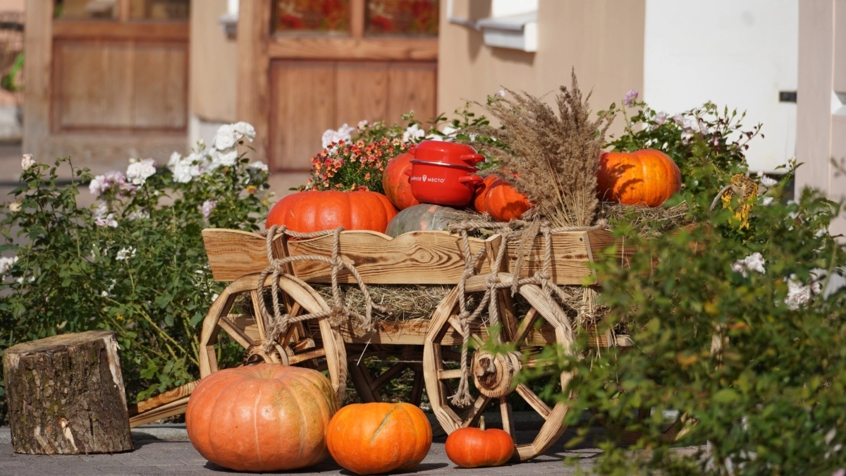 Людям с сахарным диабетом лучше употреблять в пищу сырую тыкву