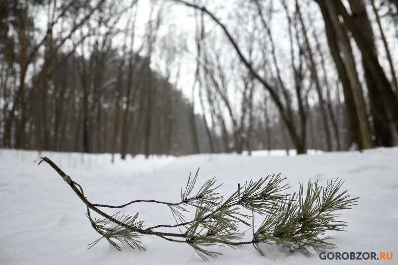 В Башкирии выпал первый снег
