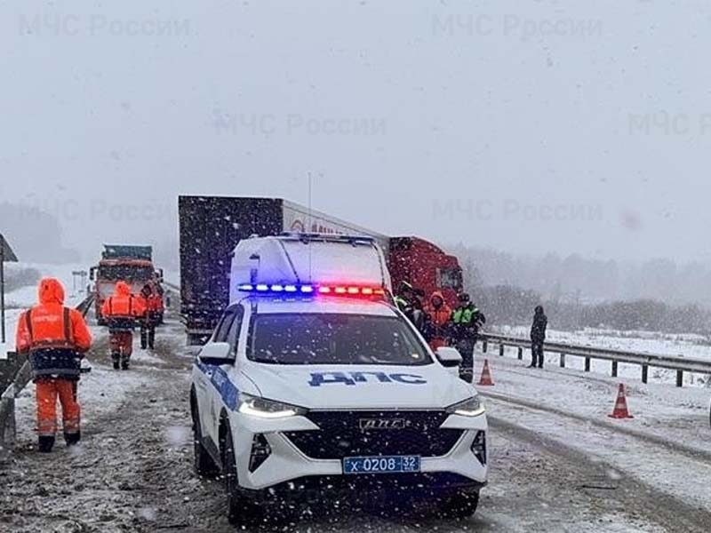 На трассе под Клинцами большегруз въехал во встречную легковушку. Пассажирка «Нивы» погибла, водитель — в больнице