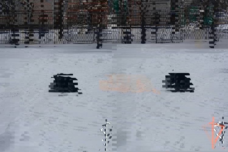 Сотрудники ОМОН Росгвардии прияли участие в мероприятии памяти Героя России Виктора Чечвия в Свердловской области