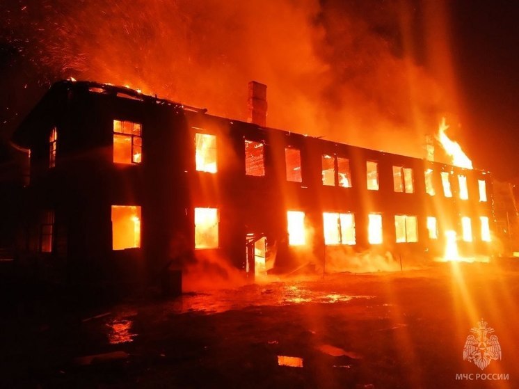 В Волжске из-за поджога сгорел нежилой дом