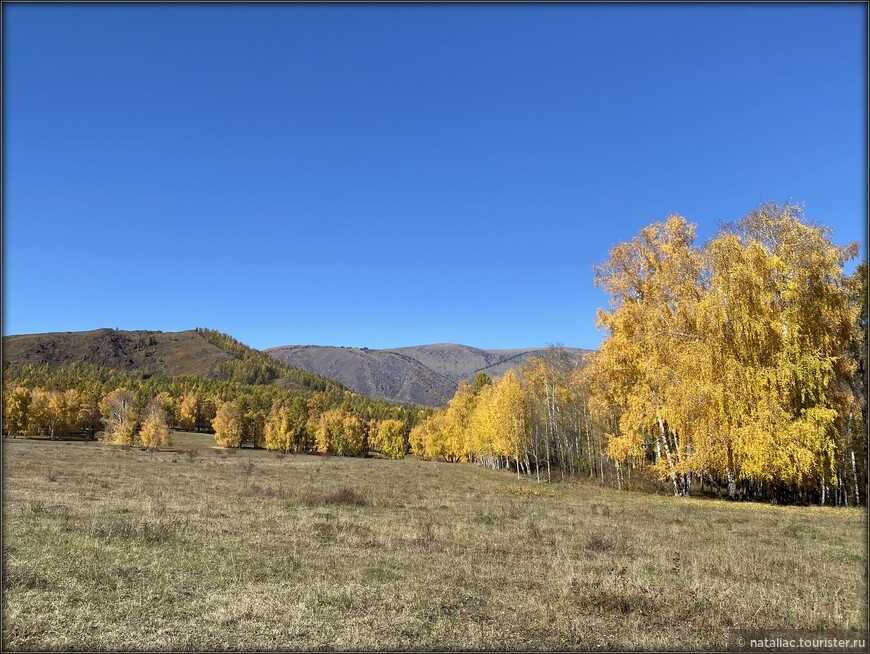 «Осенние краски Уймонской долины». Дорога, база и первые эмоции