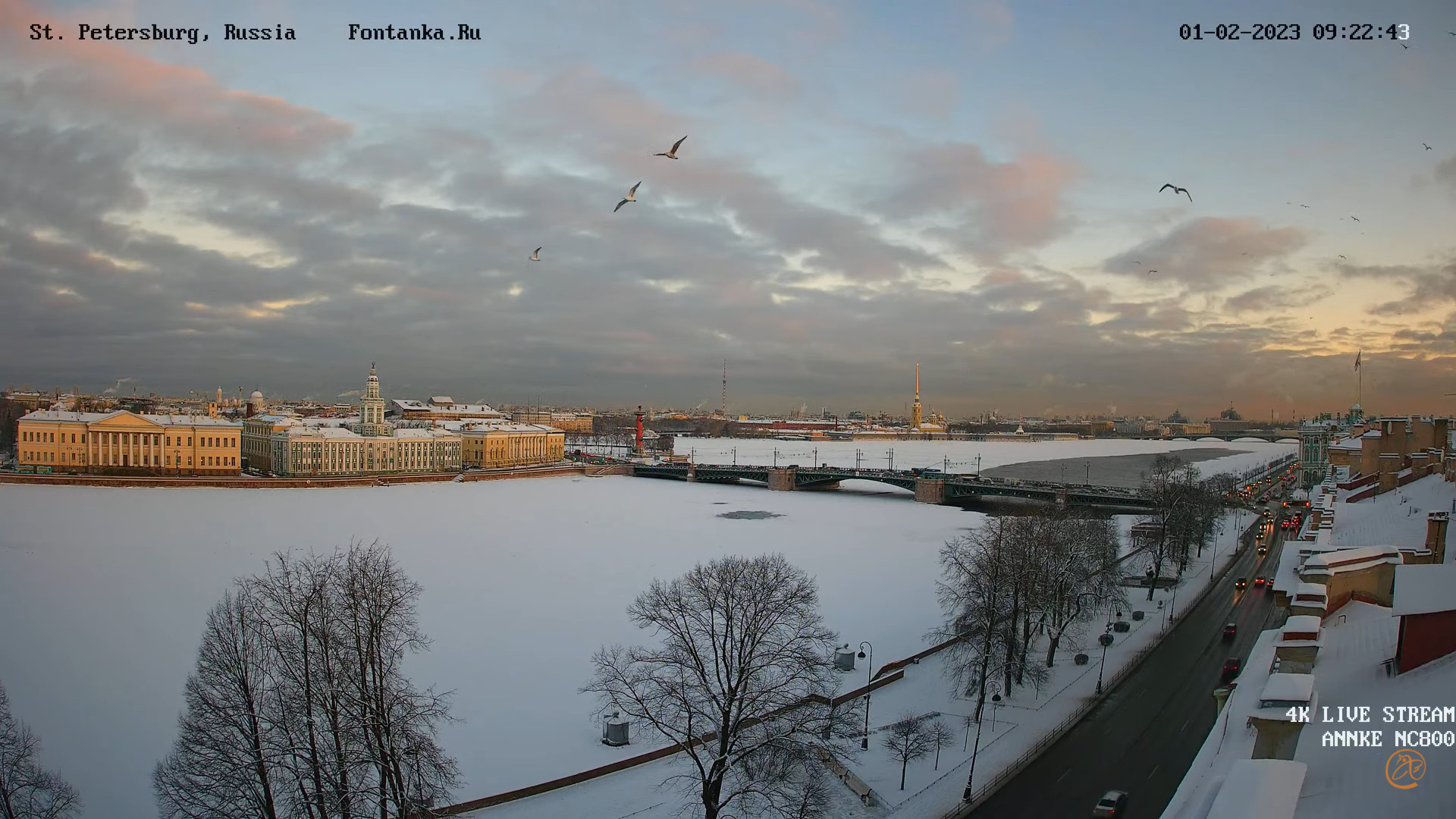 Санкт петербург в феврале