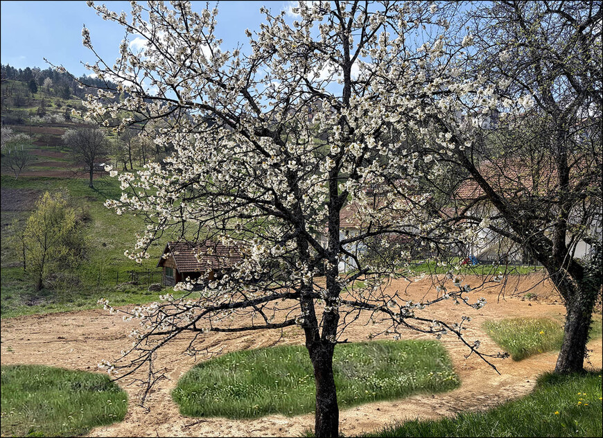 Весенняя Сербия. Фруктовые пейзажи и чудо в горах