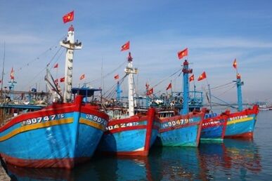 Во Вьетнаме опубликована информация о рыболовных судах, которые могли нарушить правила борьбы с ННН-промыслом